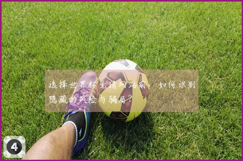选择世界杯竞猜网站前，如何识别隐藏的风险与骗局？