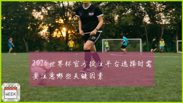 2026世界杯官方投注平台选择时需要注意哪些关键因素