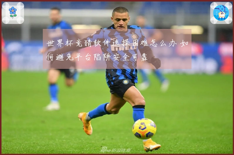 世界杯竞猜软件选择困难怎么办 如何避免平台陷阱安全可靠