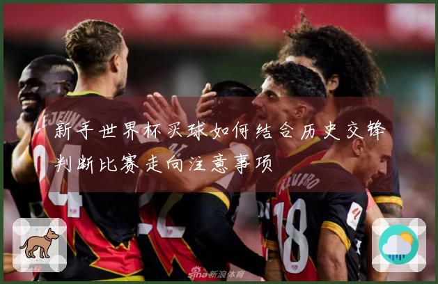 新手世界杯买球如何结合历史交锋判断比赛走向注意事项