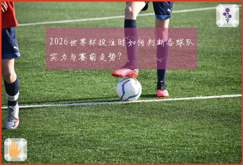 2026世界杯投注时如何判断各球队实力与赛前走势？