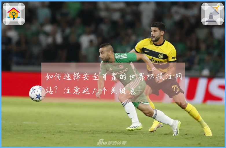 如何选择安全可靠的世界杯投注网站？注意这几个关键点！