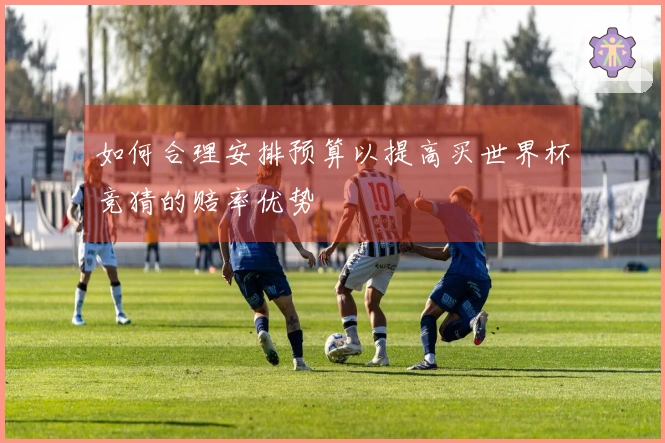如何合理安排预算以提高买世界杯竞猜的赔率优势
