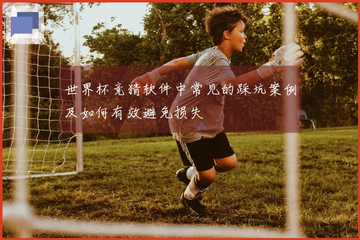 世界杯竞猜软件中常见的踩坑案例及如何有效避免损失