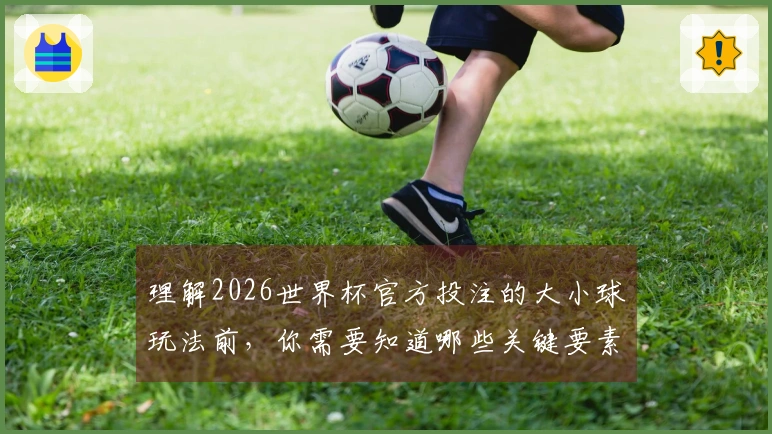 理解2026世界杯官方投注的大小球玩法前，你需要知道哪些关键要素